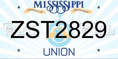 ZST2829 Mississippi License Plate