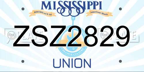 ZSZ2829 Mississippi License Plate