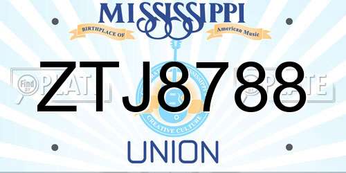 ZTJ8788 Mississippi License Plate