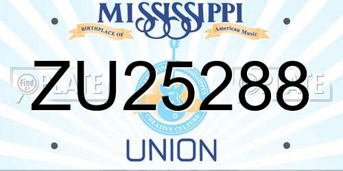 ZU25288 Mississippi License Plate