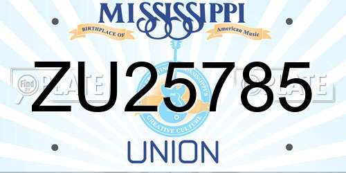 ZU25785 Mississippi License Plate