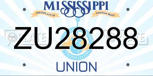 ZU28288 Mississippi License Plate