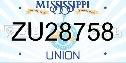 ZU28758 Mississippi License Plate