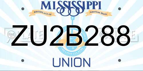 ZU2B288 Mississippi License Plate