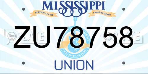 ZU78758 Mississippi License Plate