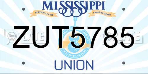 ZUT5785 Mississippi License Plate