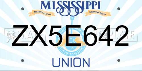 ZX5E642 Mississippi License Plate