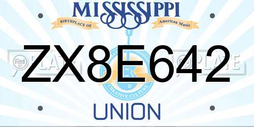 ZX8E642 Mississippi License Plate