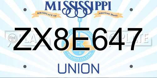 ZX8E647 Mississippi License Plate