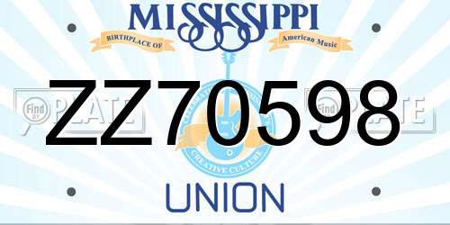 ZZ70598 Mississippi License Plate