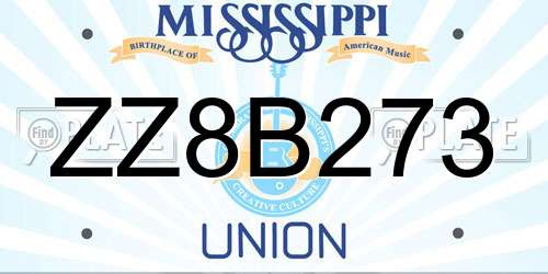 ZZ8B273 Mississippi License Plate