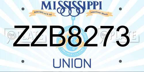ZZB8273 Mississippi License Plate