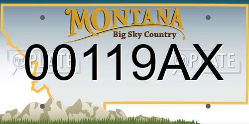 00119AX Montana License Plate