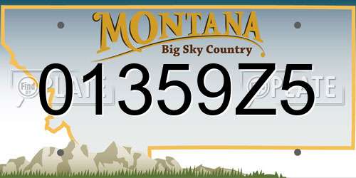 01359Z5 Montana License Plate