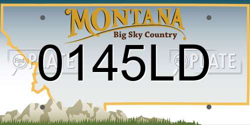 0145LD Montana License Plate