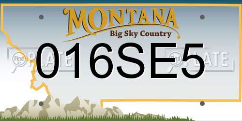 016SE5 Montana License Plate