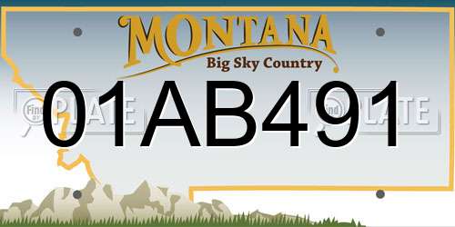 01AB491 Montana License Plate