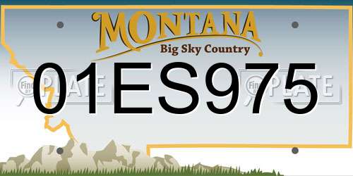 01ES975 Montana License Plate