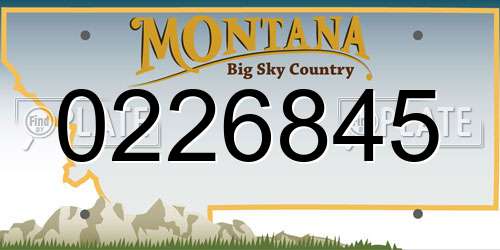 0226845 Montana License Plate