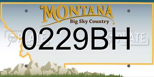0229BH Montana License Plate