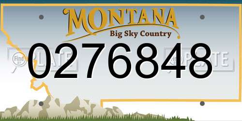 0276848 Montana License Plate