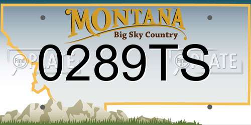 0289TS Montana License Plate