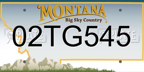 02TG545 Montana License Plate