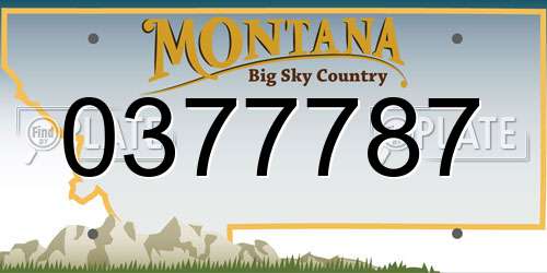 0377787 Montana License Plate