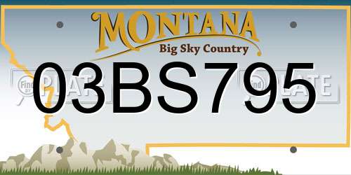 03BS795 Montana License Plate