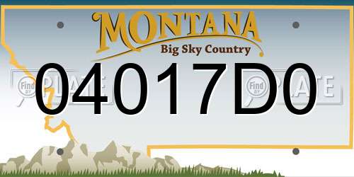 04017D0 Montana License Plate