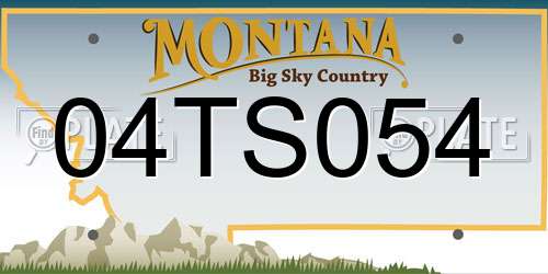 04TS054 Montana License Plate