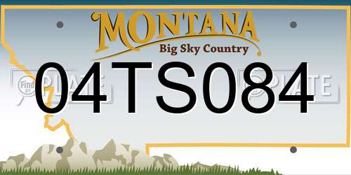 04TS084 Montana License Plate