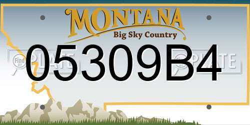 05309B4 Montana License Plate