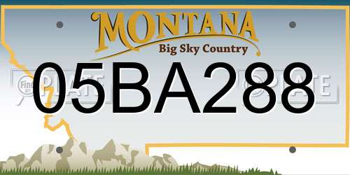 05BA288 Montana License Plate