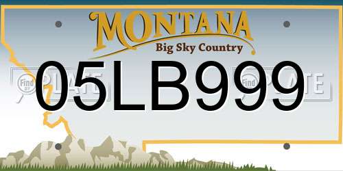 05LB999 Montana License Plate