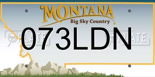 073LDN Montana License Plate