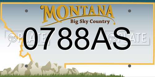 0788AS Montana License Plate