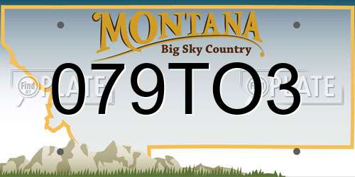 079TO3 Montana License Plate