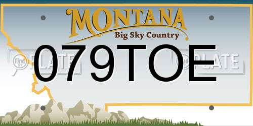 079TOE Montana License Plate