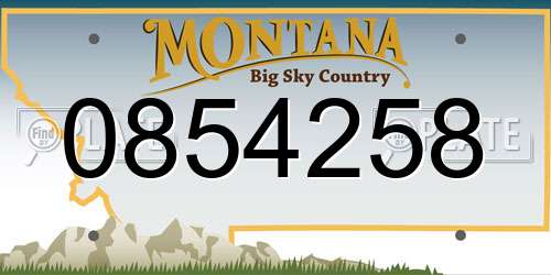 0854258 Montana License Plate