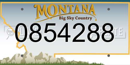 0854288 Montana License Plate
