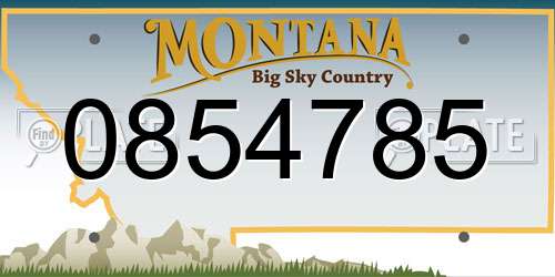 0854785 Montana License Plate