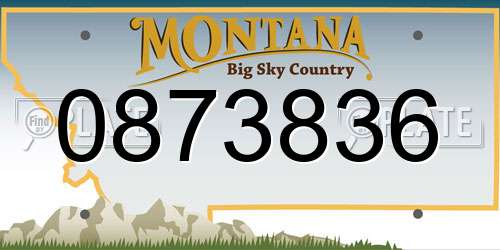 0873836 Montana License Plate