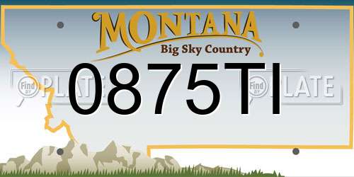 0875TI Montana License Plate