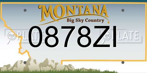 0878ZI Montana License Plate