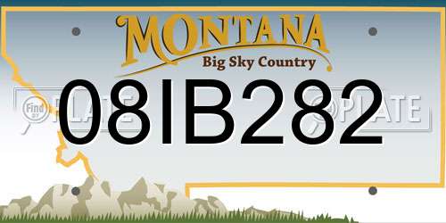 08IB282 Montana License Plate