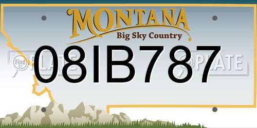 08IB787 Montana License Plate