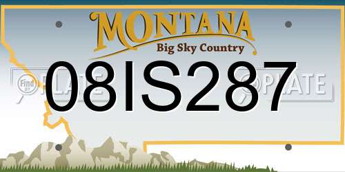 08IS287 Montana License Plate