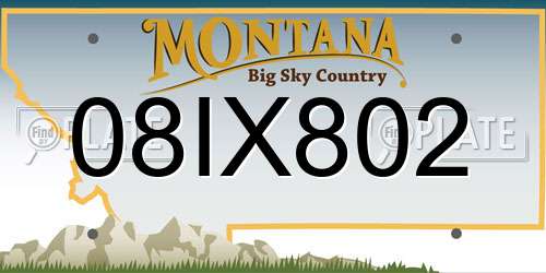 08IX802 Montana License Plate