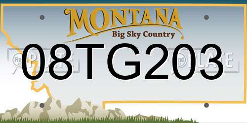 08TG203 Montana License Plate